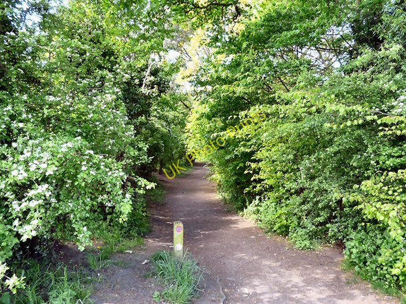 Photo 6"x4" Goyt Way Romiley c2009
