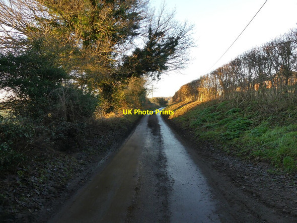 Photo 6"x4" Craft lane heading to Northrepps Frogshall c2022