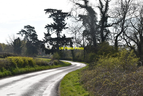 Photo 6"x4" Danehill Lane Horsted Keynes c2021