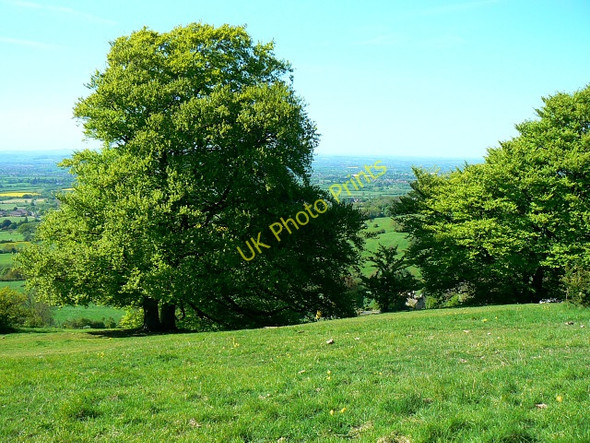 Photo 6"x4" Crickley Hill Country Park (18) Shab Hill c2009