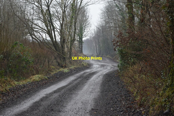 Photo 6"x4" Track south of White Sheet Plantation Higher Row c2022