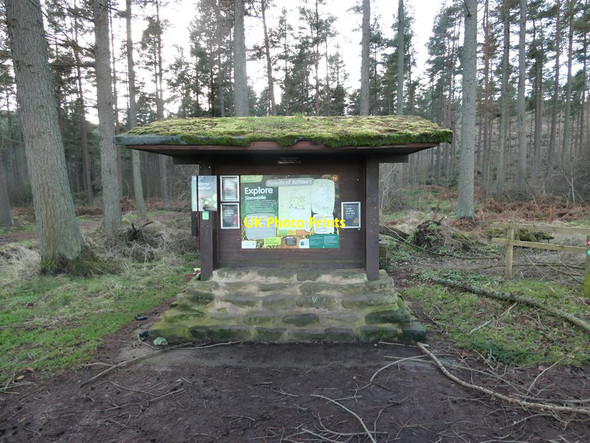 Photo 6"x4" Information point, Simonside Forest Newtown\/NU0300 c2022