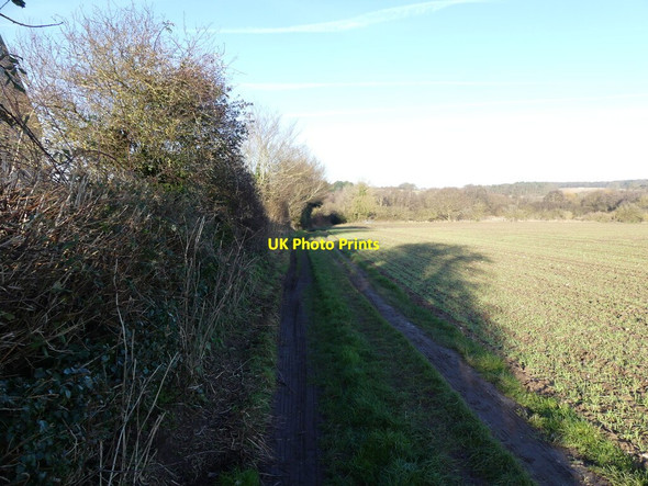Photo 6"x4" Footpath to Roughton Common Roughton\/TG2137 c2022