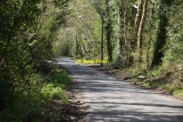 Photo 6"x4" Tanyard Lane Chelwood Common c2021