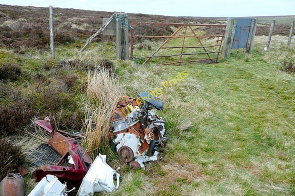 Photo 6"x4" Fly tip on Great Rhos Pant\/SO1863 c2009