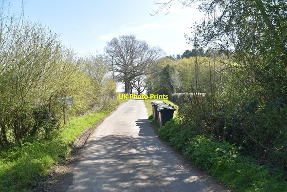Photo 6"x4" Sheffield Mill Lane Sheffield Green\/TQ4125 c2021