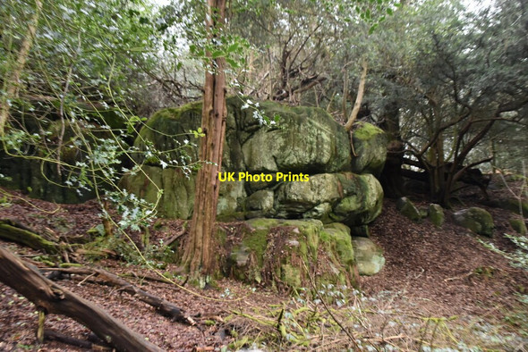 Photo 6"x4" Eridge Rocks Eridge Green c2021