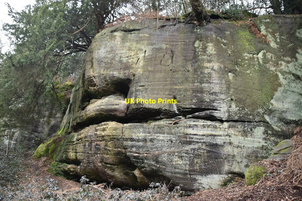 Photo 6"x4" Eridge Rocks Eridge Green c2021 P2