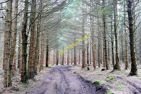 Photo 6"x4" Bridleway in Radnor Forest Llanfihangel Rhydithon c2009