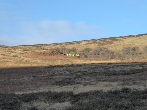 Photo 6"x4" Sheepfolds beside the burn Scald Hill\/NT9221 c2022
