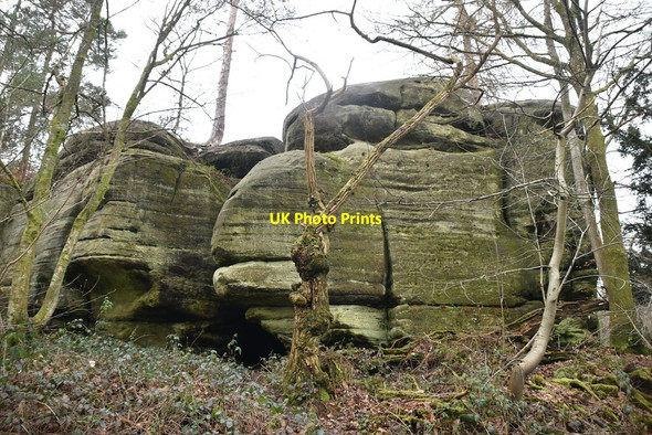 Photo 6"x4" Eridge Rocks Eridge Green c2021