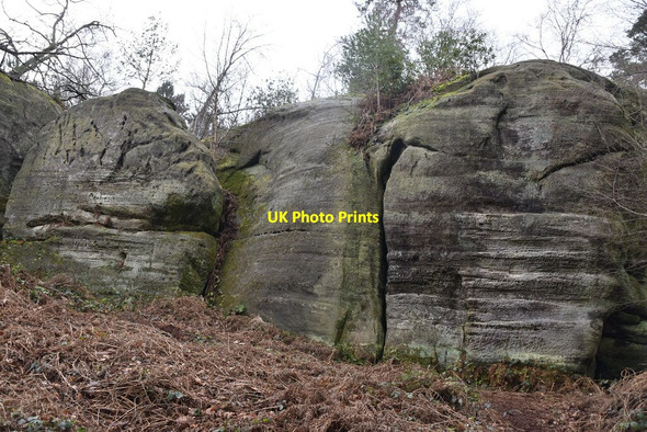Photo 6"x4" Eridge Rocks Eridge Green c2021 P2