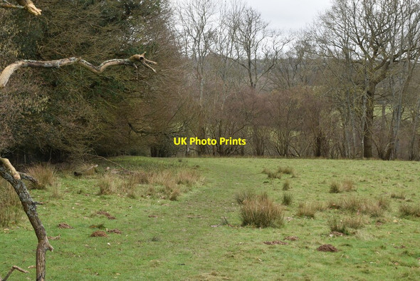 Photo 6"x4" Tunbridge Wells Circular Walk, Eridge Park Eridge Green c2021
