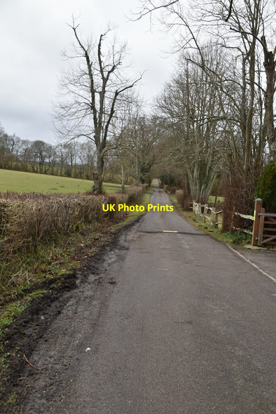 Photo 6"x4" Driveway to Hamsell Manor Eridge Green c2021