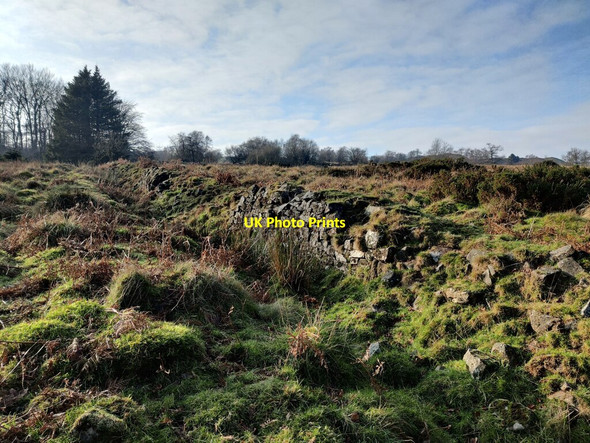 Photo 6"x4" Heathland on Brown Clee Hill Burwarton c2022