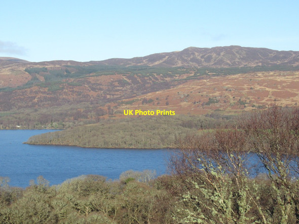 Photo 6"x4" Arrochymore Point, Loch Lomond Balmaha c2022