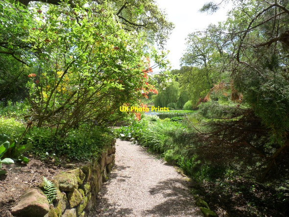 Photo 6"x4" Path along the edge of the stream Hodnet c2013