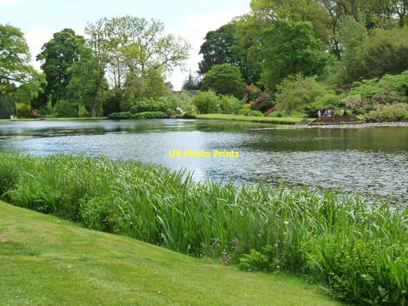 Photo 6"x4" View over the Main Pool Hodnet c2013