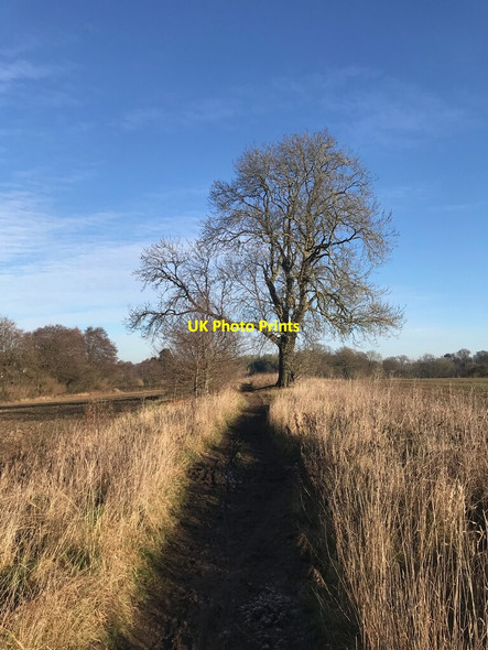 Photo 6"x4" Track to Swithland Cropston c2022