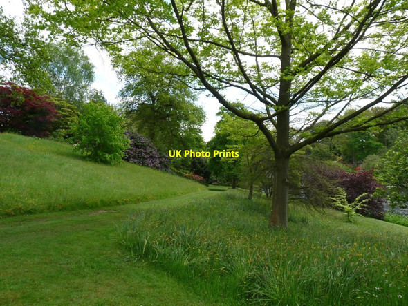 Photo 6"x4" Grass path through the wild flower meadow Hodnet c2013