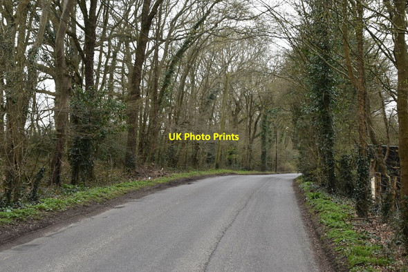 Photo 6"x4" Merriments Lane Hurst Green\/TQ7327 c2021