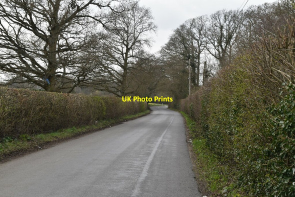 Photo 6"x4" Merriments Lane Hurst Green\/TQ7327 c2021