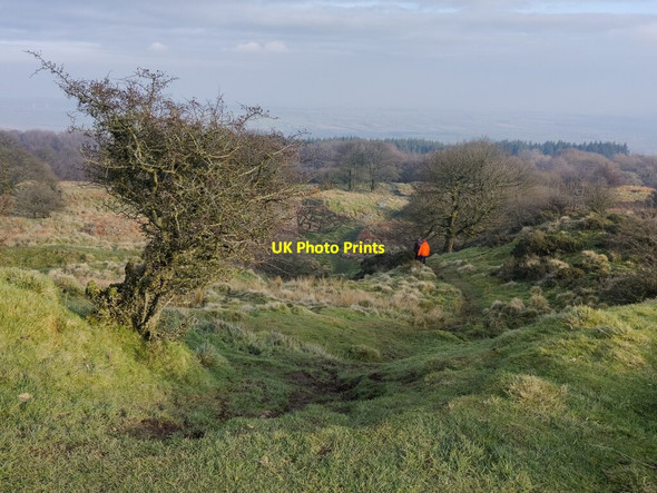 Photo 6"x4" Path descending the slopes of Abdon Burf Hillside\/SO5987 c2022