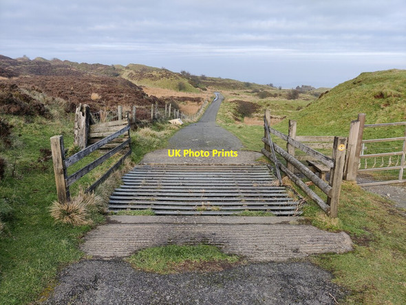Photo 6"x4" Cattle grid along the Shropshire Way Hillside\/SO5987 c2022