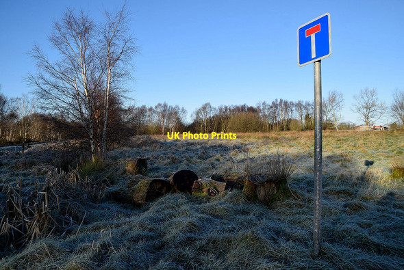 Photo 6"x4" A frosty morning at Arvalee Omagh c2022