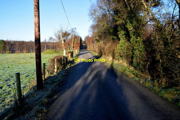 Photo 6"x4" Shadows along Woodbank Road Omagh c2022