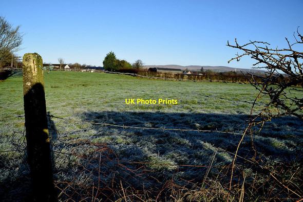Photo 6"x4" Frosty field, Arvalee Omagh c2022