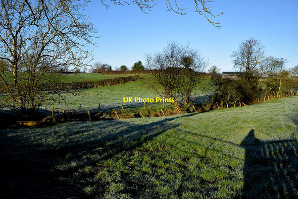Photo 6"x4" Frosty ground, Arvalee Omagh c2022