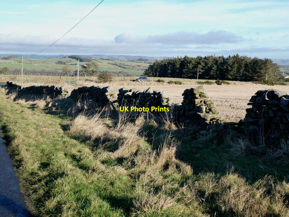 Photo 6"x4" Damaged stone wall near New Dotland Farm Diptonmill c2022