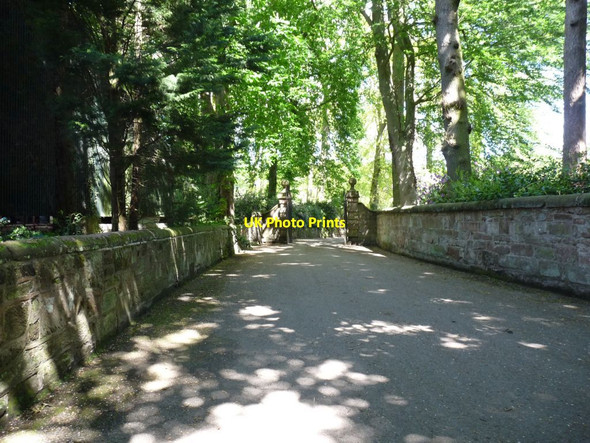 Photo 6"x4" The main path to the Tearooms Hodnet c2013