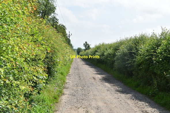 Photo 6"x4" Bridleway passing Morden Grange Plantation The Thrift c2021