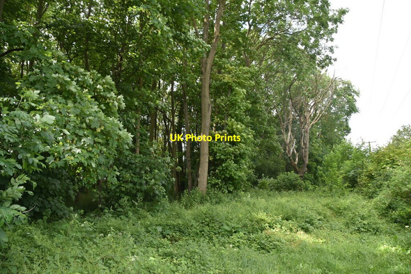 Photo 6"x4" Morden Grange Plantation Gatley End c2021
