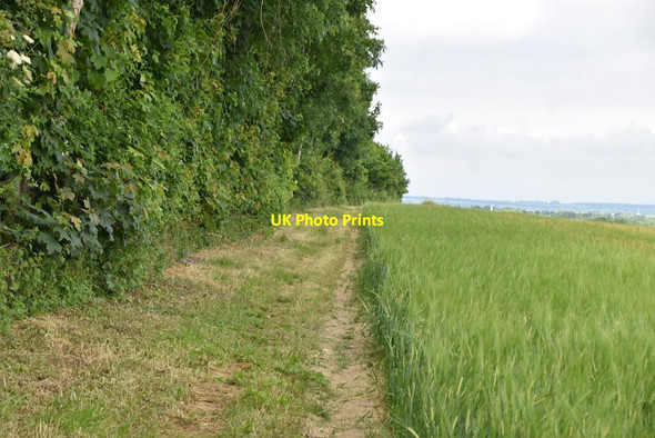 Photo 6"x4" Footpath along field boundary Gatley End c2021