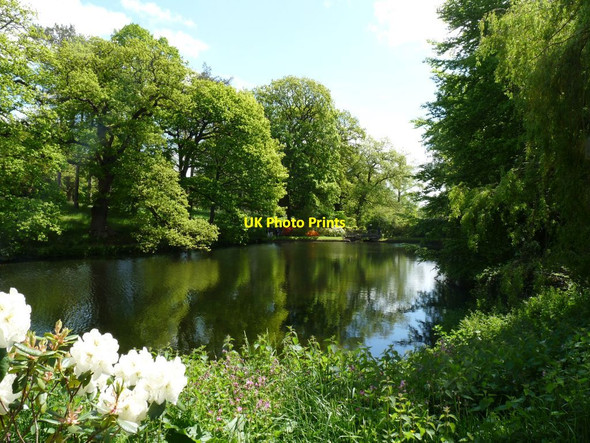 Photo 6"x4" View over the Heber Pool Hodnet c2013