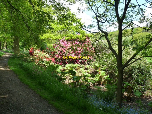 Photo 6"x4" Path alongside Heber Pool Hodnet c2013