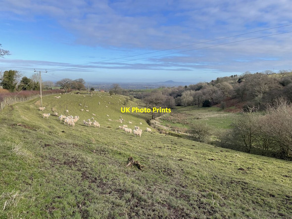 Photo 6"x4" Wooded valley on the edge of Cothercott Hill Westcott\/SJ4001 c2022