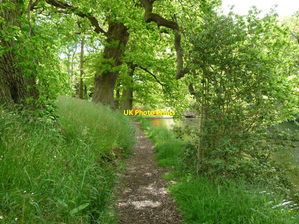 Photo 6"x4" Path by the Heber Pool Hodnet c2013