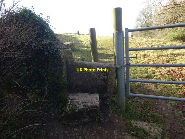 Photo 6"x4" Stone Stile, Minchinhampton Burnt Ash c2022
