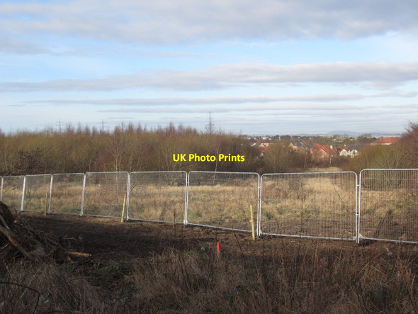 Photo 6"x4" Scrub woodland, Newcraighall Newcraighall c2022