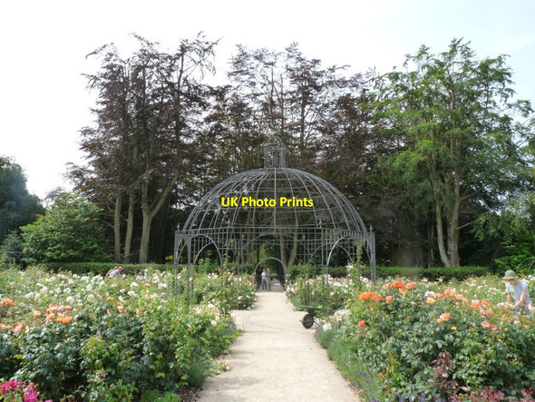 Photo 6"x4" The Rose Garden Dunham Town c2013