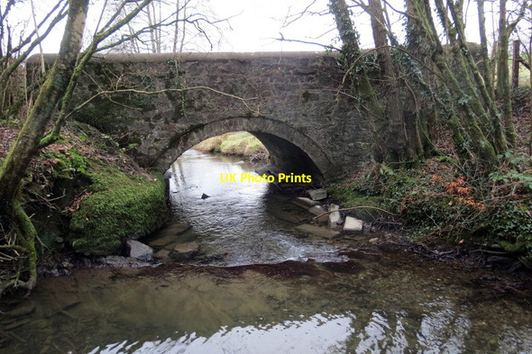 Photo 6"x4" Pont Pwll-defaid Myrtle Hill\/SN7630 c2022
