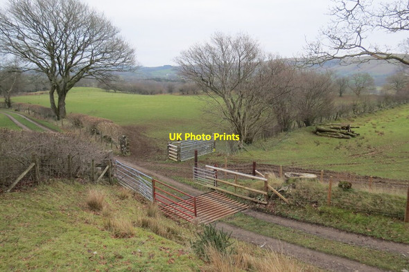 Photo 6"x4" Cyffordd o lwybrau \/ Junction of paths Myrtle Hill\/SN7630 c2022