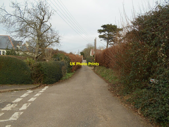 Photo 6"x4" Alma Lane Sidmouth c2022