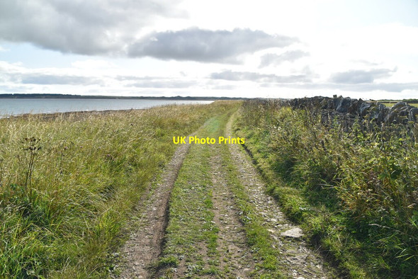 Photo 6"x4" Battery Walk Castletown\/ND1967 c2021