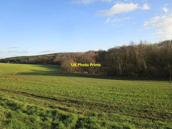 Photo 6"x4" Autumn sown crop and Snake Hill Clipstone\/SK5863 c2022