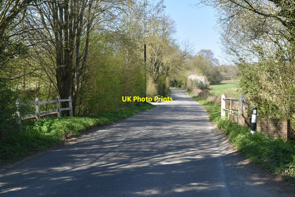 Photo 6"x4" Quiet Sussex lane Sheffield Green\/TQ4124 c2021